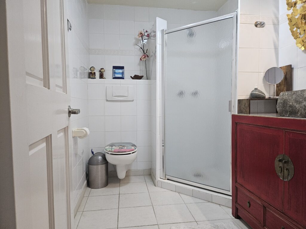 toilet and shower2