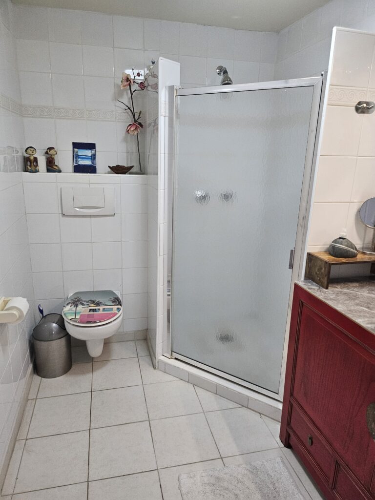 toilet and shower